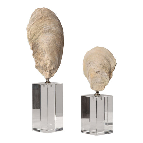 Uttermost Oyster Shell Sculptures - Set Of 2 - Home Elegance USA