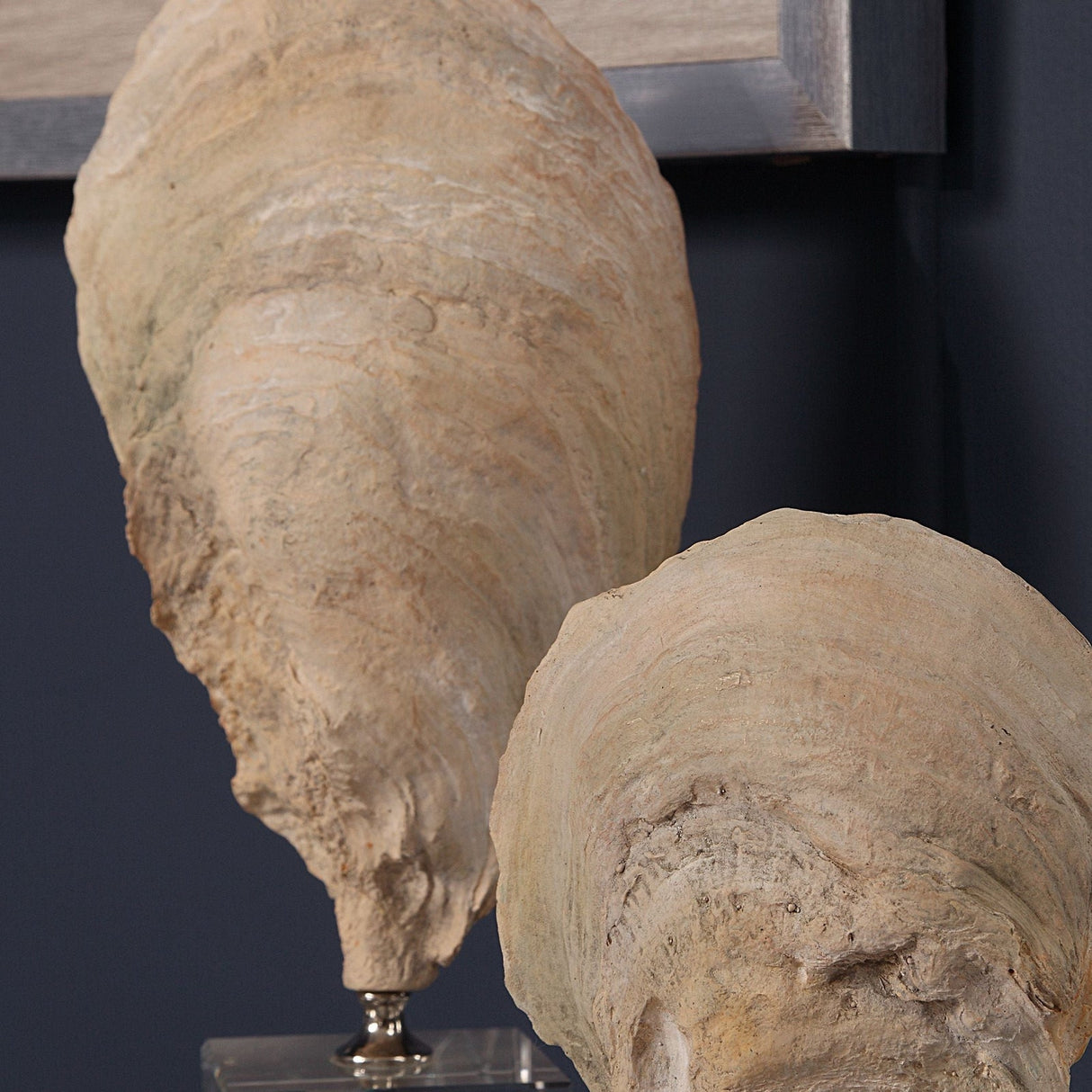 Uttermost Oyster Shell Sculptures - Set Of 2 - Home Elegance USA