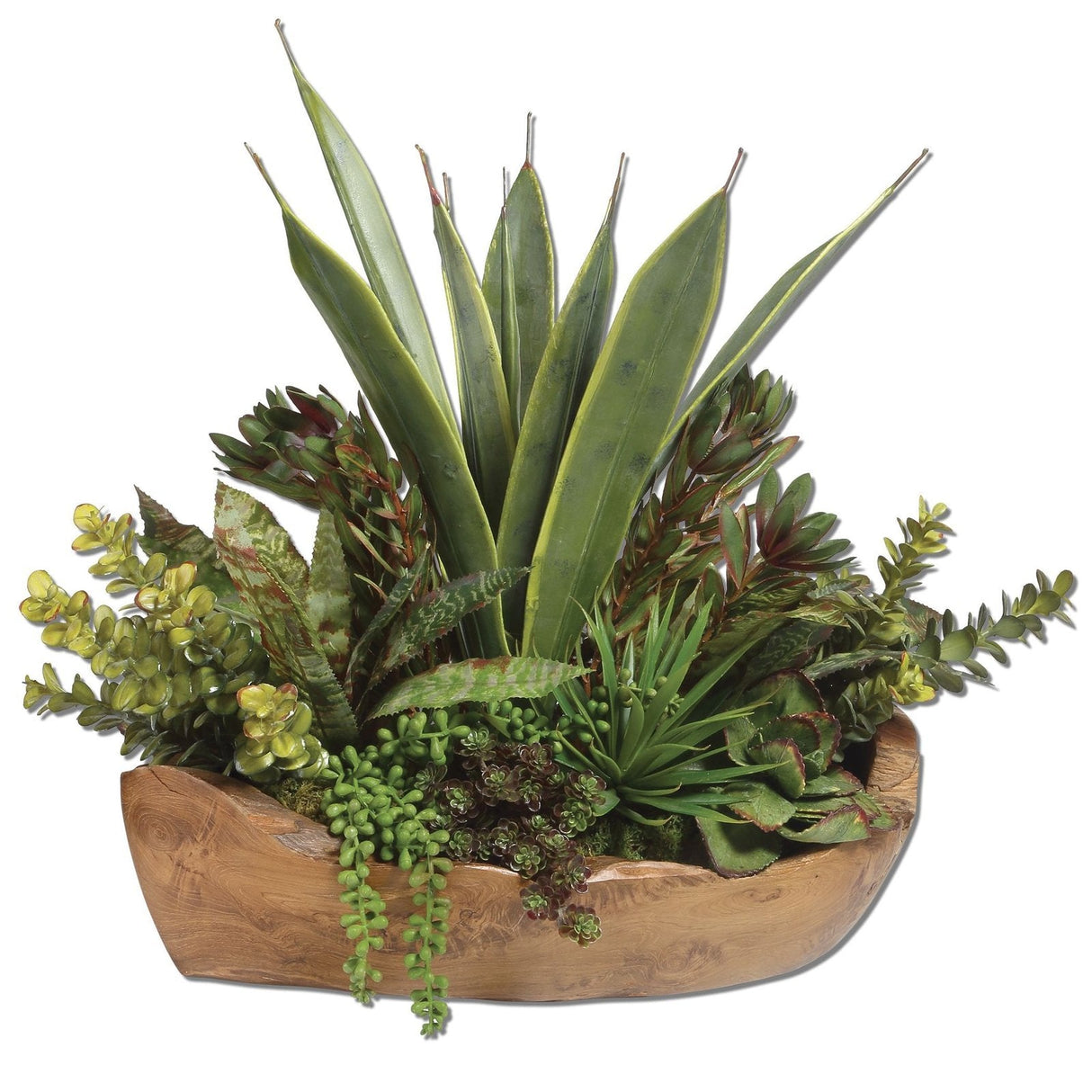 Uttermost Salar Succulents In Teak Bowl - Home Elegance USA