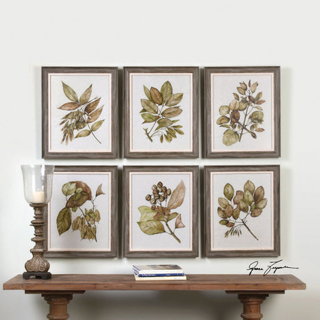 Uttermost Seedlings Framed Prints S/6 - Home Elegance USA