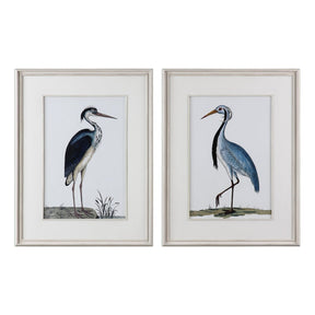Uttermost Shore Birds Framed Prints - Set Of 2 - Home Elegance USA
