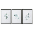 Uttermost Simple Sage Watercolor Prints - Set Of 3 - Home Elegance USA