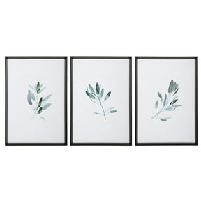 Uttermost Simple Sage Watercolor Prints - Set Of 3 - Home Elegance USA