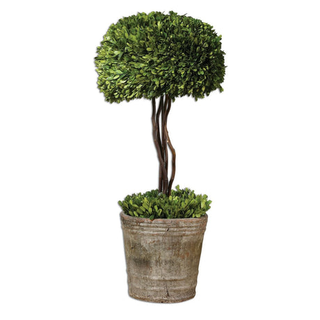 Uttermost Tree Topiary Preserved Boxwood - Home Elegance USA