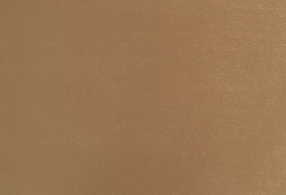 ACME Bernadette SIDE CHAIR (SET-2) Pattern Fabric & Gold Finish DN01471 - Home Elegance USA