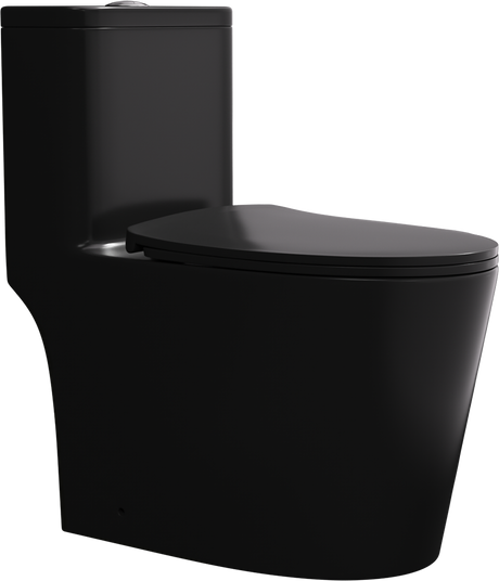 One-Piece Dual Flush Extended Matte Black Toilet