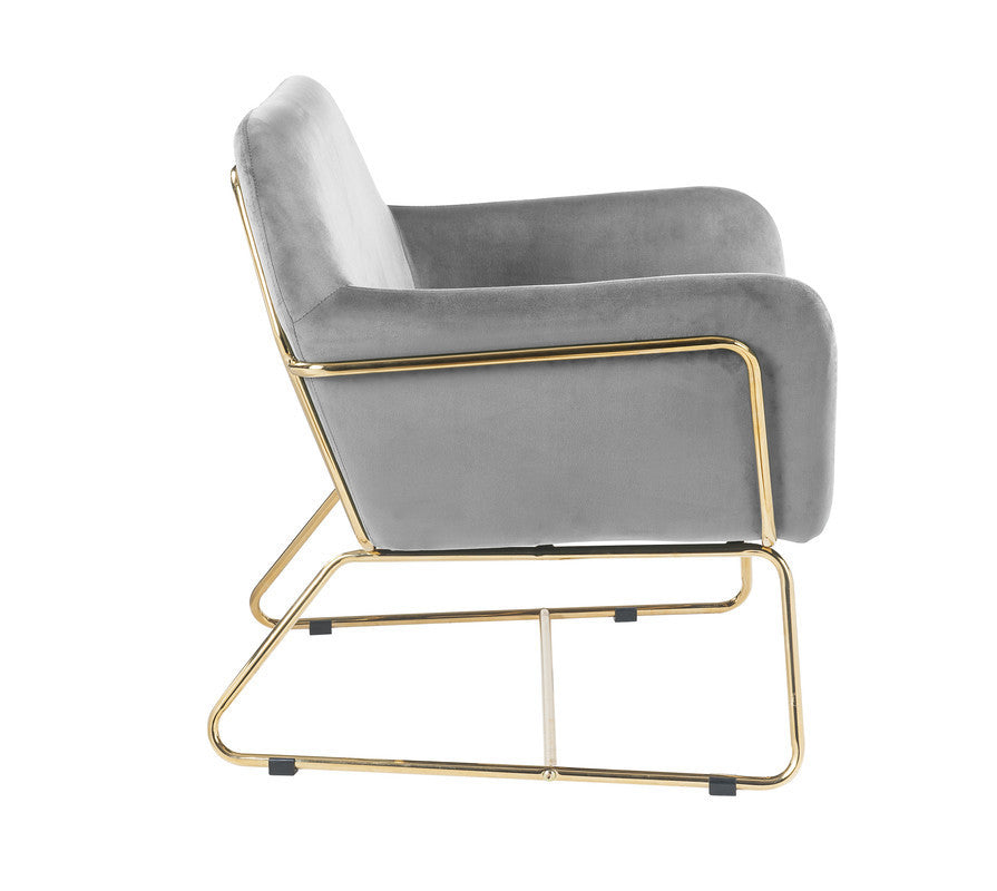 Keira Gray Velvet Accent Chair with Metal Base - Home Elegance USA