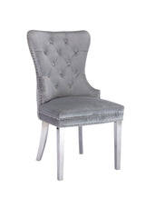 Simba Stainless Steel 2 Piece Chair Finish with Velvet Fabric in Light Gray - Home Elegance USA