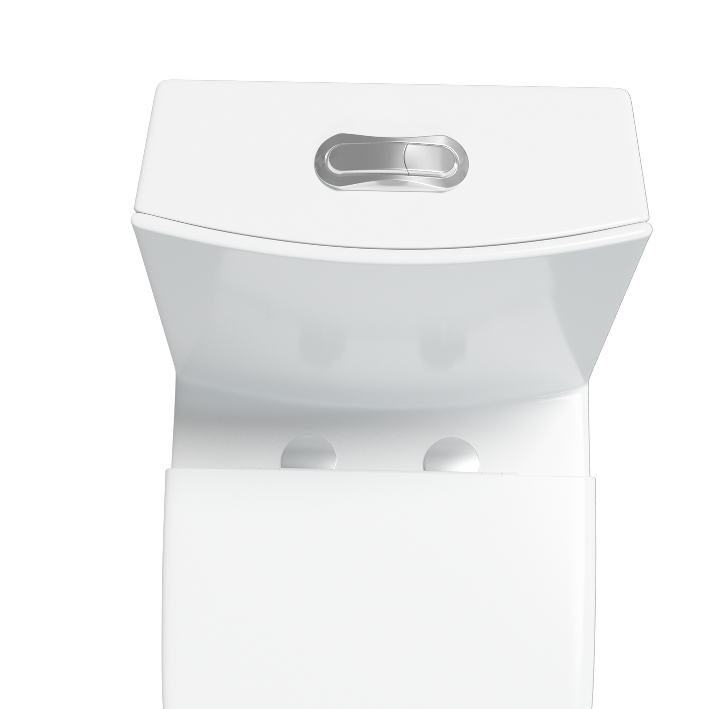 One Piece 1.1GPF/1.6 GPF Dual Flush Elongated Toilet