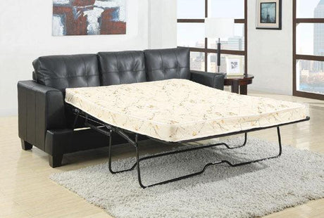 Coaster Furniture - Samuel Black Leather Sleeper Sofa and Loveseat Set - 501680-82