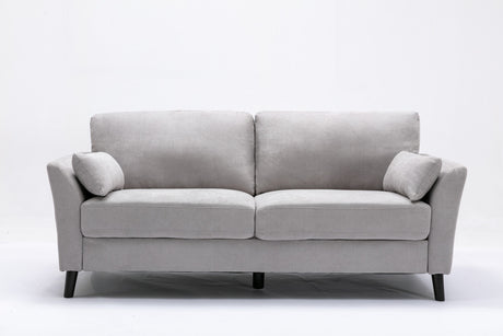 Damian Light Gray Velvet Fabric Sofa