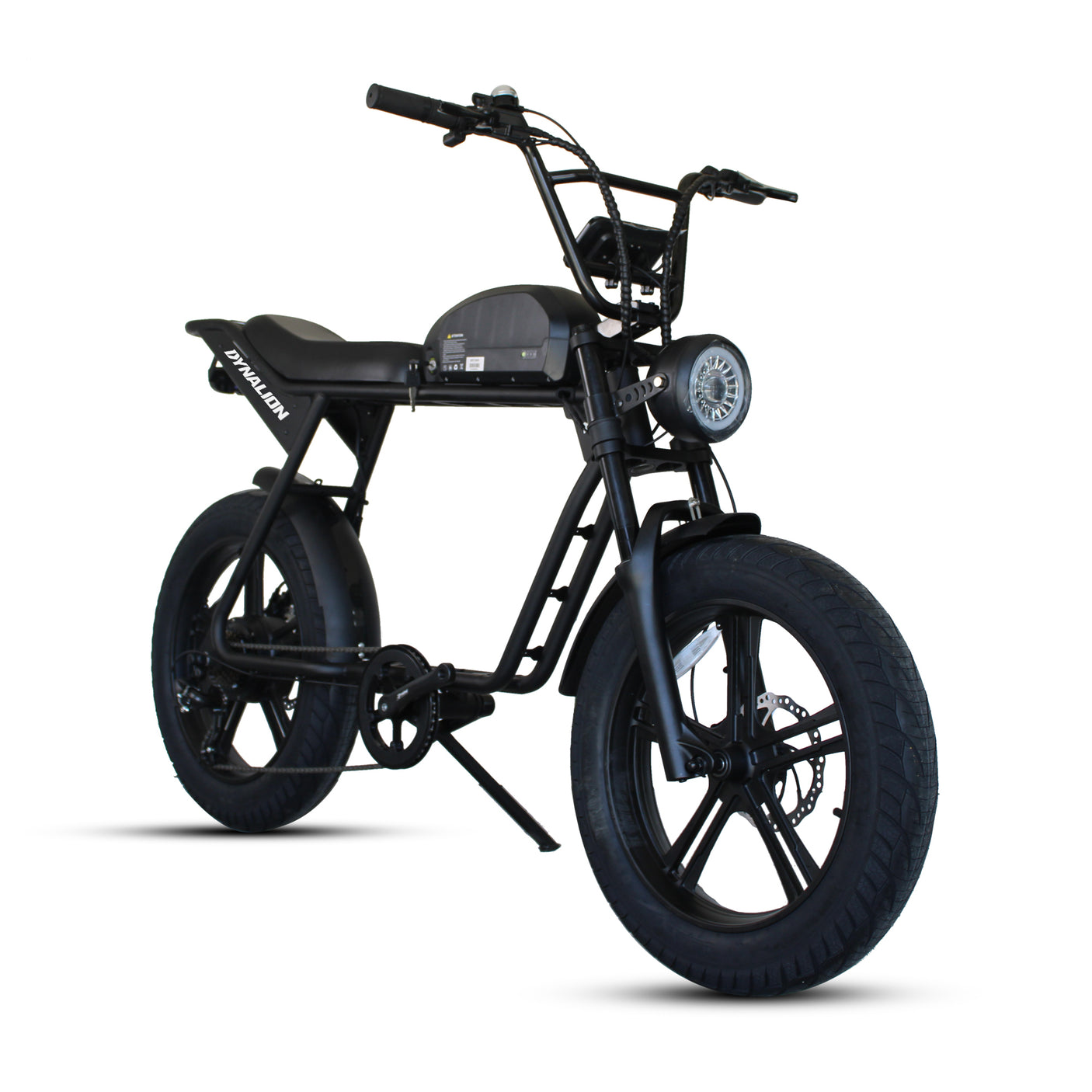 Dynalion Electric Bike for Adults 1000W, 20 Inch Fat Tire Ebike 32 MPH & 45 Miles Long Range Off Road Snow Urban Commuter E Bike, 48V 16AH