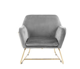Keira Gray Velvet Accent Chair with Metal Base - Home Elegance USA