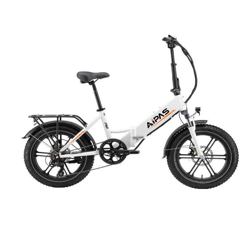 A2 Electric Bike Fat Tire 48V  Removable Lithium Battery for Adults