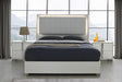 Giulia Queen Bed In Matte White - 101Q | J&M
