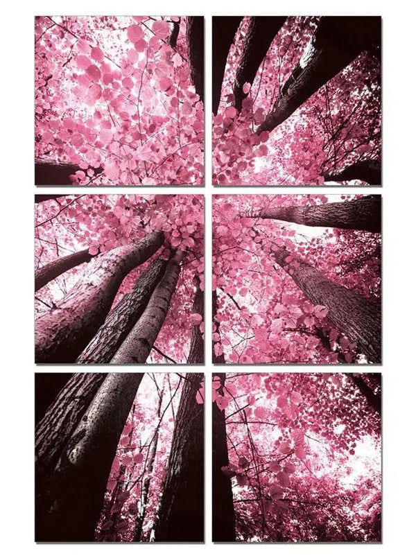 Vig Furniture - Blossom Trees - 24" X 24" Photo On Canvas - Vgsc-Sh-71596Abcdef